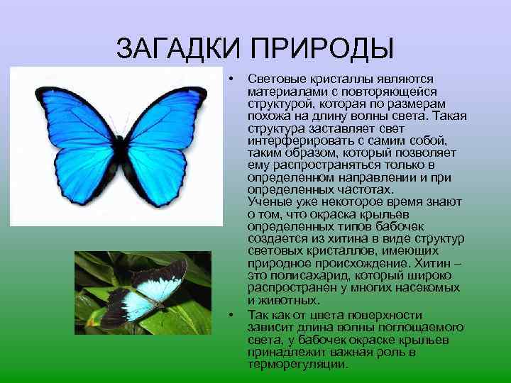 ЗАГАДКИ ПРИРОДЫ • • Световые кристаллы являются материалами с повторяющейся структурой, которая по размерам