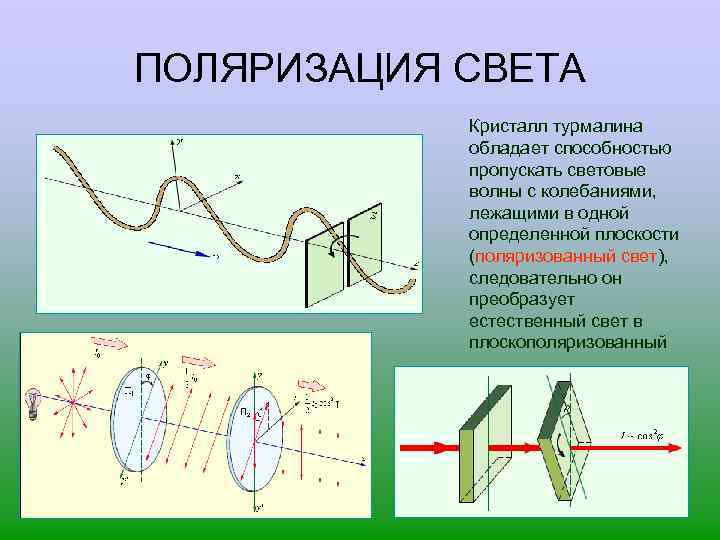 ПОЛЯРИЗАЦИЯ СВЕТА Кристалл турмалина обладает способностью пропускать световые волны с колебаниями, лежащими в одной