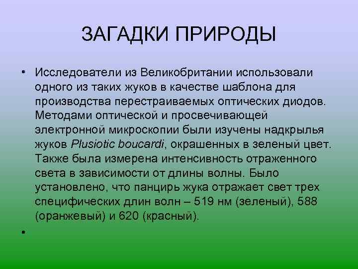 ЗАГАДКИ ПРИРОДЫ • Исследователи из Великобритании использовали одного из таких жуков в качестве шаблона