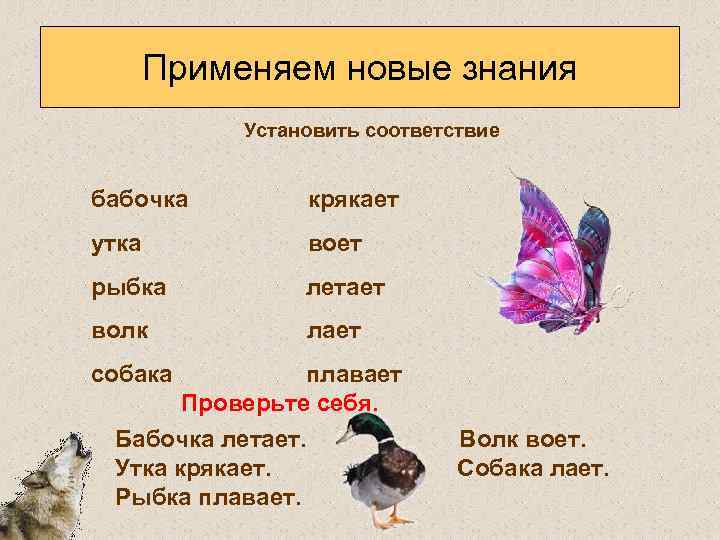Применяем новые знания Установить соответствие бабочка крякает утка воет рыбка летает волк лает собака