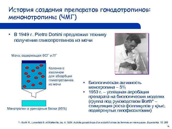 История создания препаратов гонадотропинов: менонотропины (ЧМГ) • В 1949 г. Pietro Donini предложил технику
