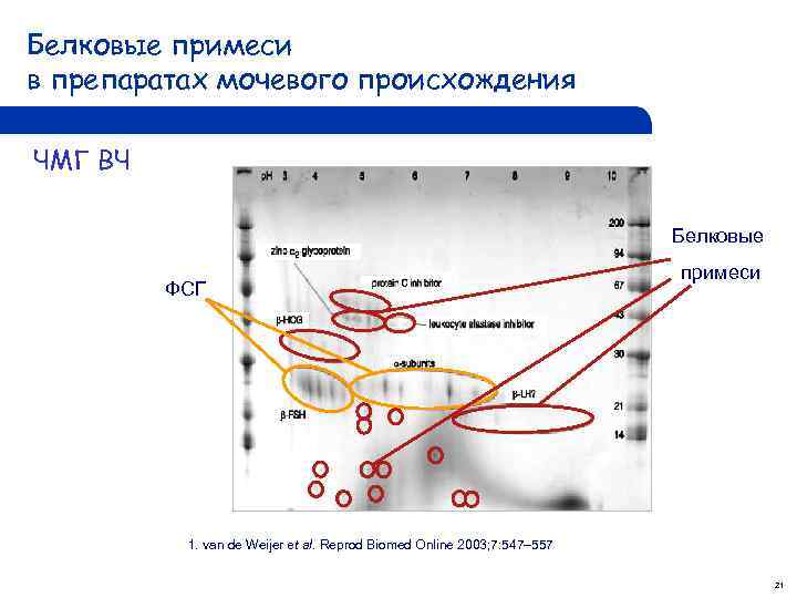 Белковые примеси в препаратах мочевого происхождения ЧМГ ВЧ Белковые ФСГ примеси 1. van de