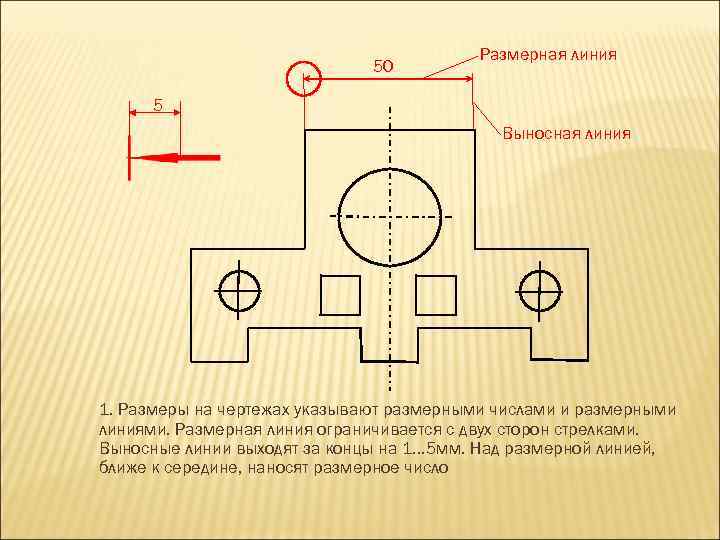 50 Размерная линия 5 Выносная линия 1. Размеры на чертежах указывают размерными числами и