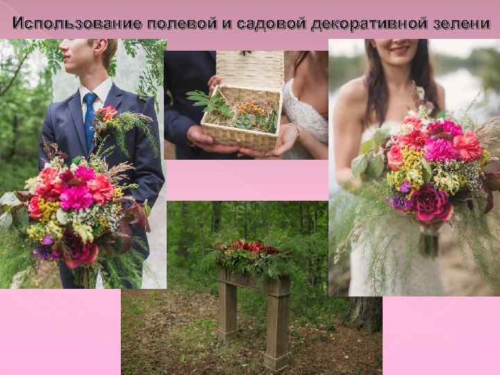 Использование полевой и садовой декоративной зелени 