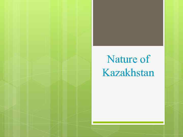 Nature of Kazakhstan 