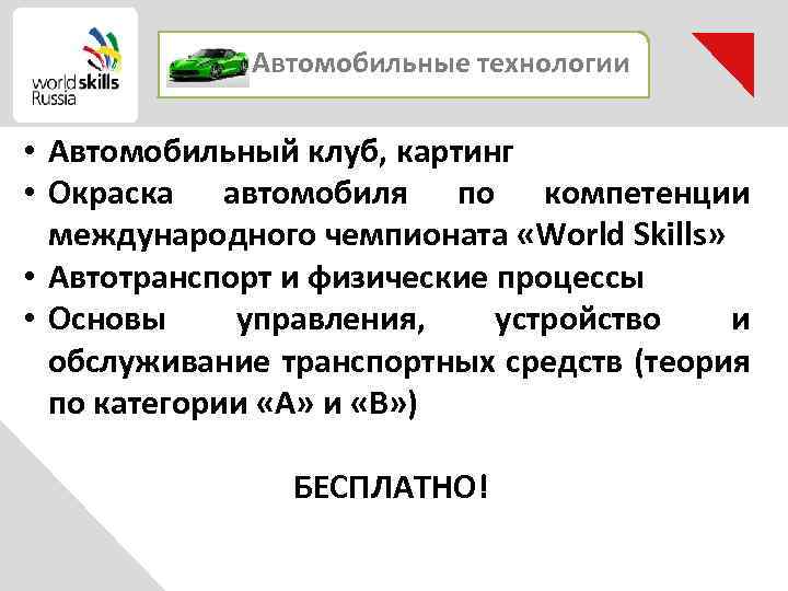 Автомобильные технологии • Автомобильный клуб, картинг • Окраска автомобиля по компетенции международного чемпионата «World