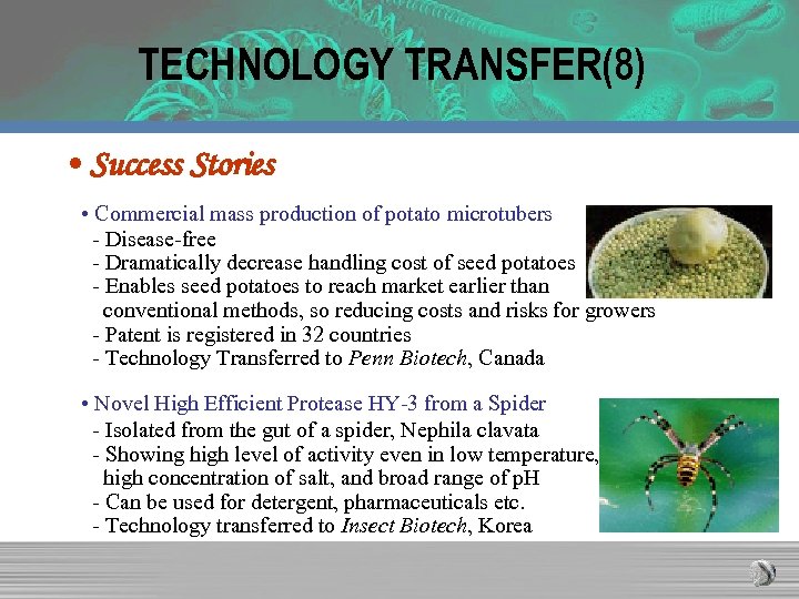 TECHNOLOGY TRANSFER(8) • Success Stories • Commercial mass production of potato microtubers - Disease-free