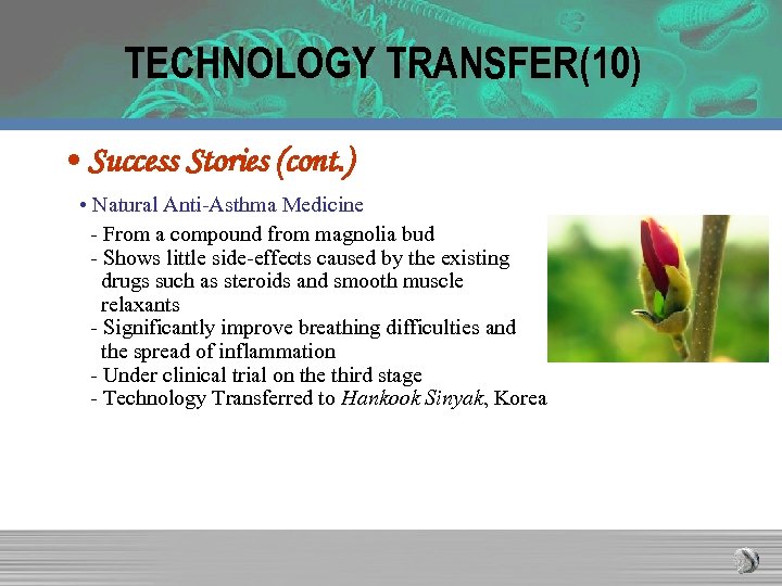 TECHNOLOGY TRANSFER(10) • Success Stories (cont. ) • Natural Anti-Asthma Medicine - From a