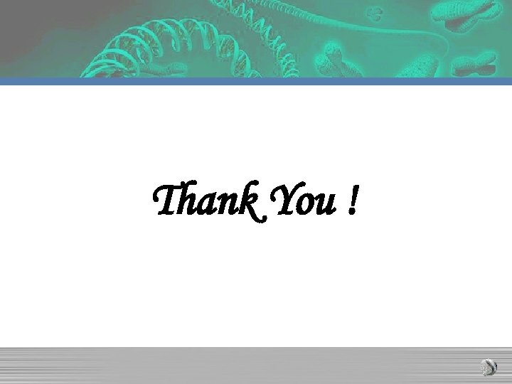 Thank You ! 