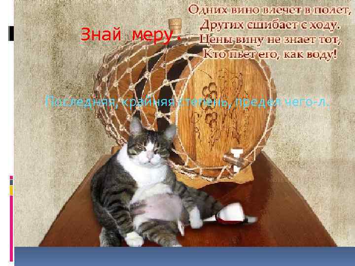 Знай меру. Последняя, крайняя степень, предел чего-л. 