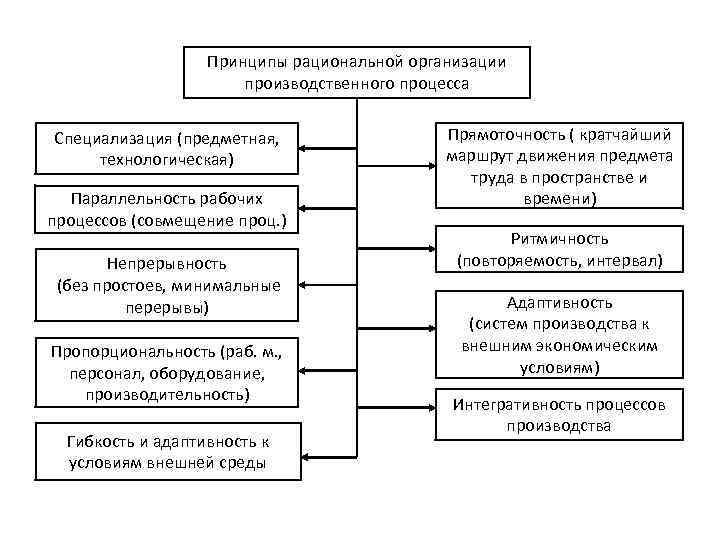 Принципы организации презентация