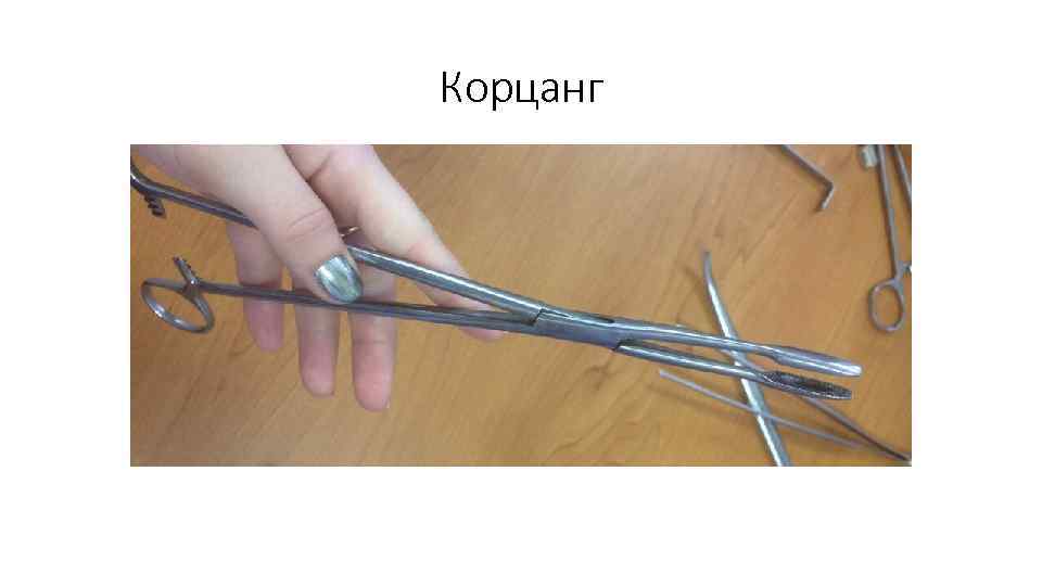 Корцанг 