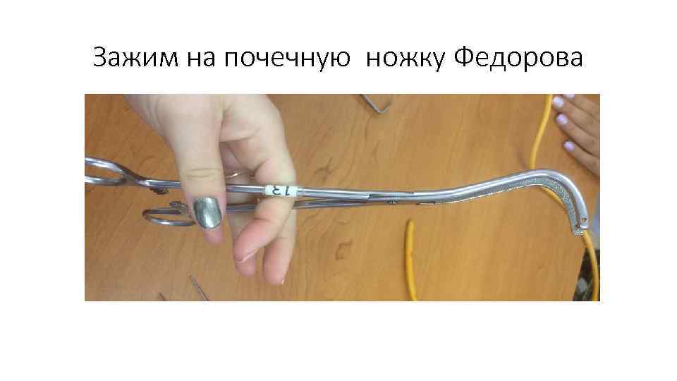 Зажим на почечную ножку Федорова 