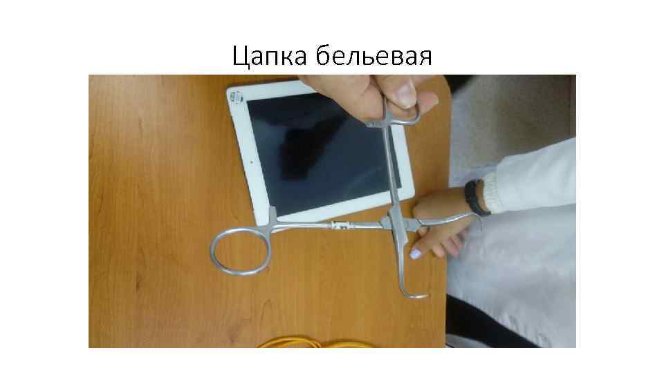 Цапка бельевая 