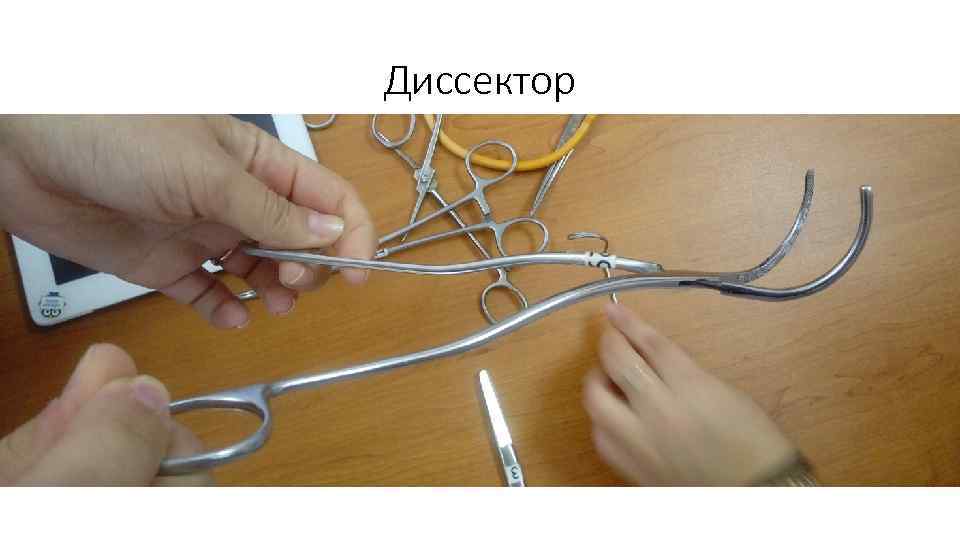 Диссектор 