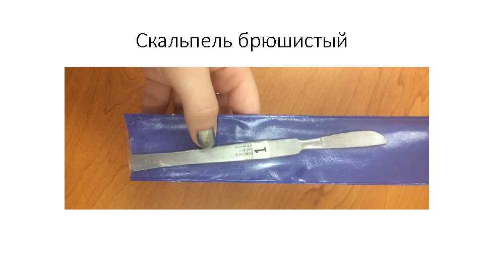 Скальпель брюшистый 