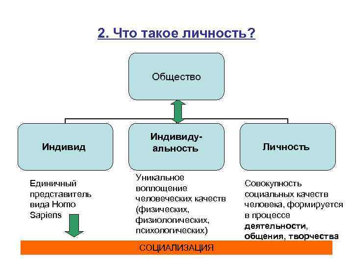 Единичный представитель homo sapiens