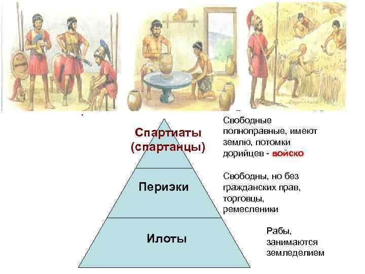 Категории населения Спарты, с. 142 Спартиаты (спартанцы) Периэки Илоты Свободные полноправные, имеют землю, потомки