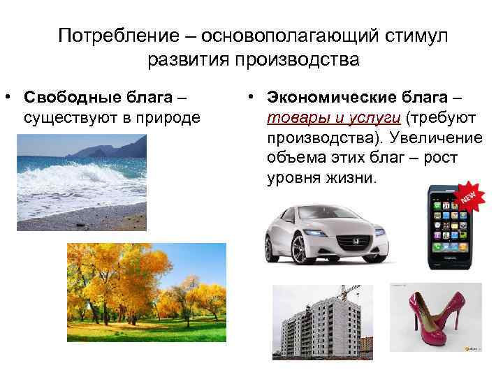 Потребление – основополагающий стимул развития производства • Свободные блага – существуют в природе •