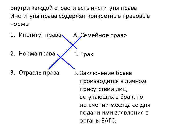 Внутри каждой отрасти есть институты права Институты права содержат конкретные правовые нормы 1. Институт