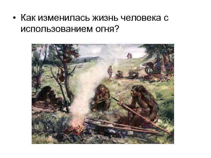  • Как изменилась жизнь человека с использованием огня? 