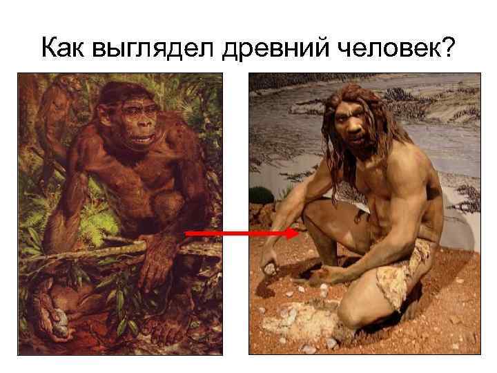 Как выглядел древний человек? 