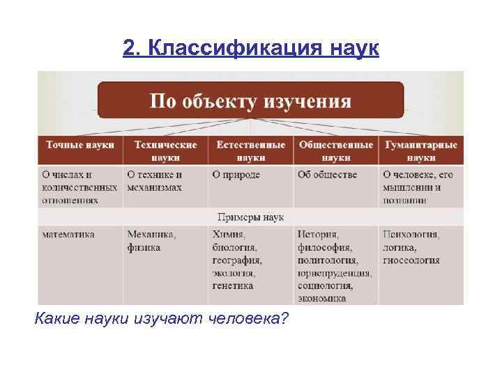 2. Классификация наук Какие науки изучают человека? 