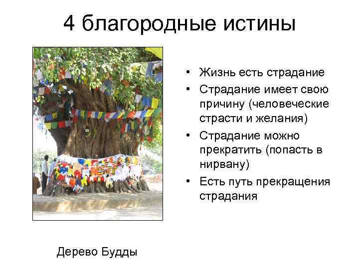 4 благородные истины • Жизнь есть страдание • Страдание имеет свою причину (человеческие страсти