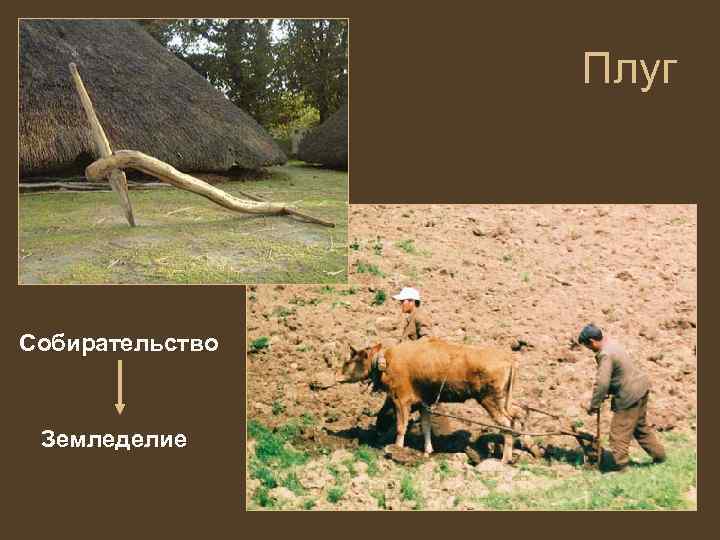 Плуг Собирательство Земледелие 