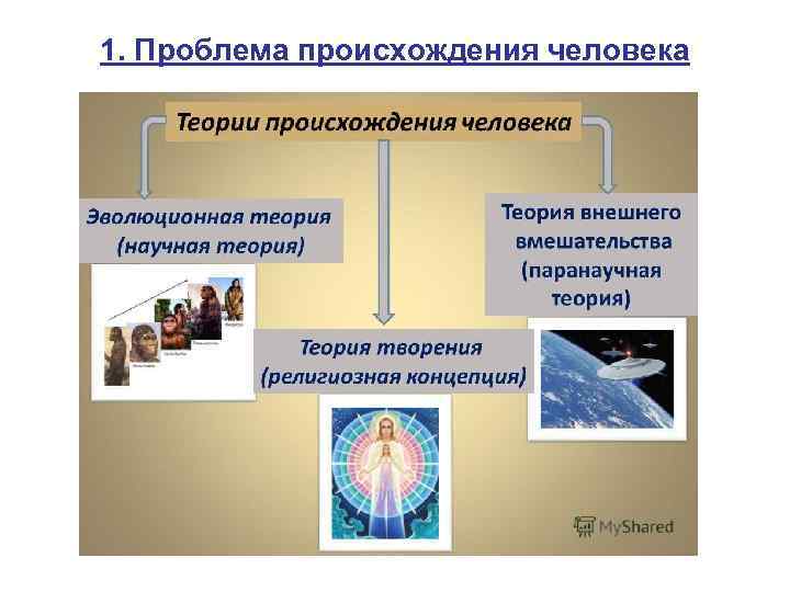 1. Проблема происхождения человека 