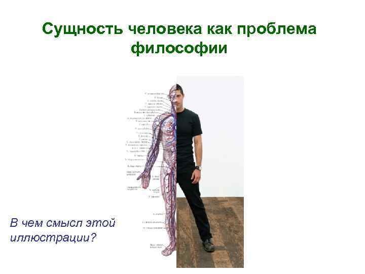 Сущность человека как проблема философии В чем смысл этой иллюстрации? 