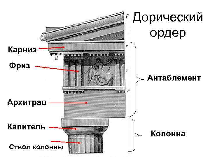 Дорический ордер Карниз Фриз Антаблемент Архитрав Капитель Ствол колонны Колонна 