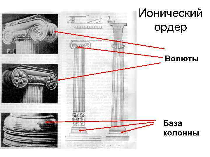 Ионический ордер Волюты База колонны 