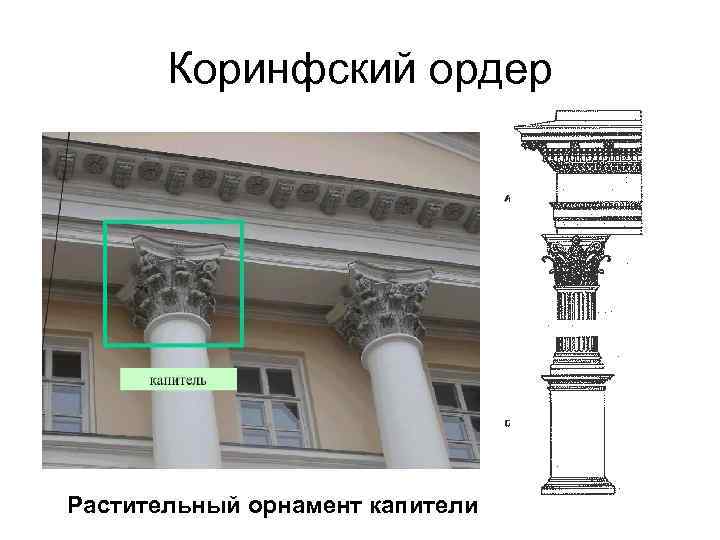 Коринфский ордер Растительный орнамент капители 