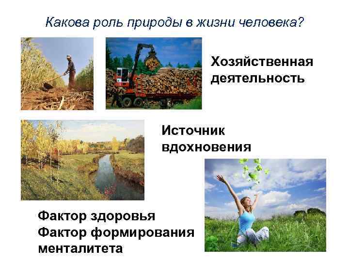 Какова роль природы в жизни человека? Хозяйственная деятельность Источник вдохновения Фактор здоровья Фактор формирования