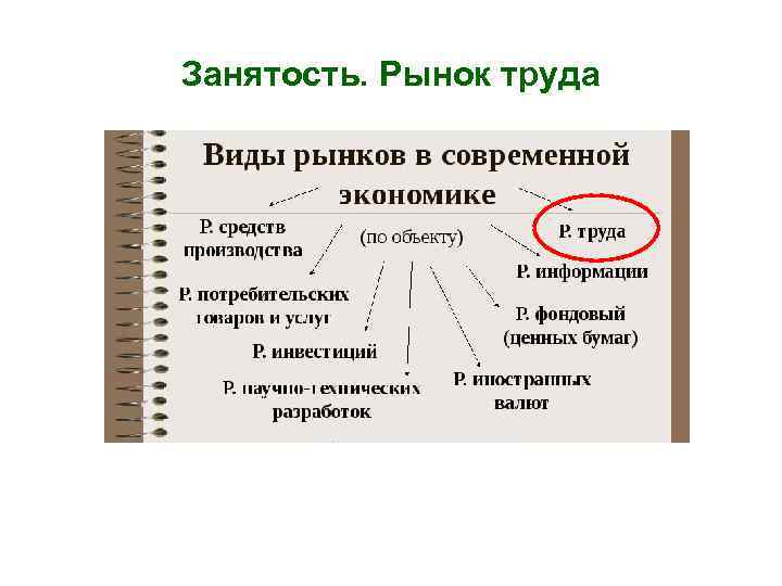 Занятость. Рынок труда 