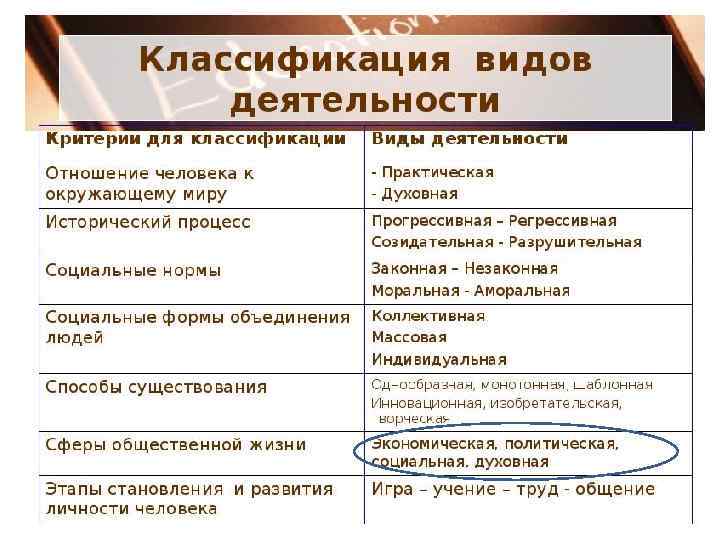 Политическая деятельность 