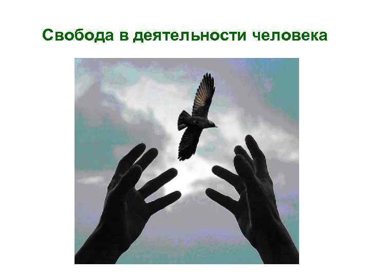 Свобода в деятельности человека 