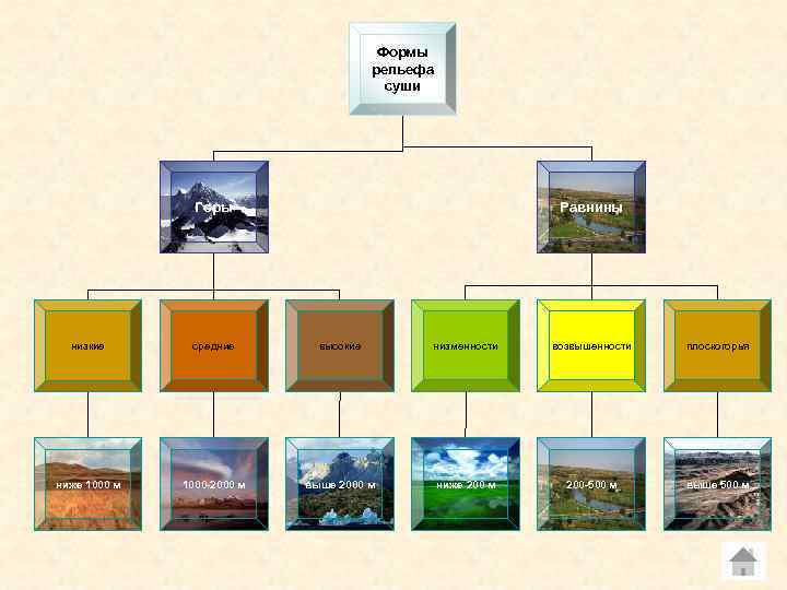 Формы рельефа суши Горы Равнины низкие средние высокие низменности возвышенности плоскогорья ниже 1000 м