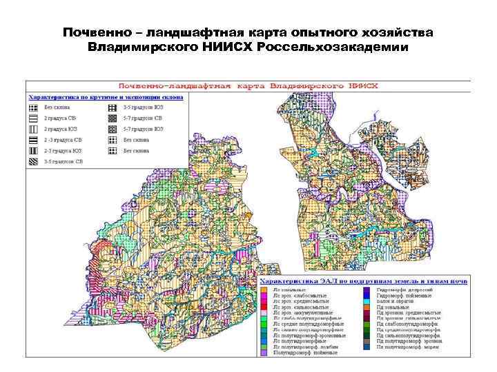 Почвенно – ландшафтная карта опытного хозяйства Владимирского НИИСХ Россельхозакадемии 