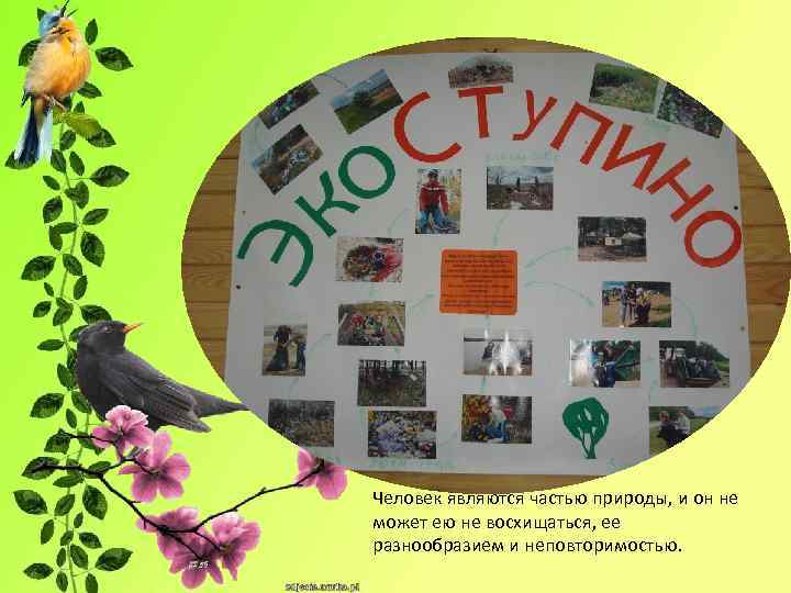 Человек являются частью природы, и он не может ею не восхищаться, ее разнообразием и