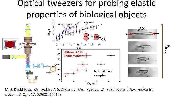 Optical tweezers for probing elastic properties of biological objects DX d. X Ftrap System