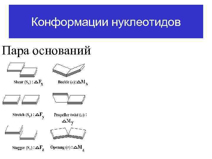 Конформации нуклеотидов Пара оснований 