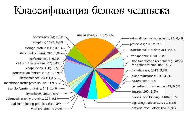 Классификация белков человека 