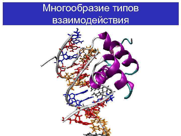 Многообразие типов взаимодействия 