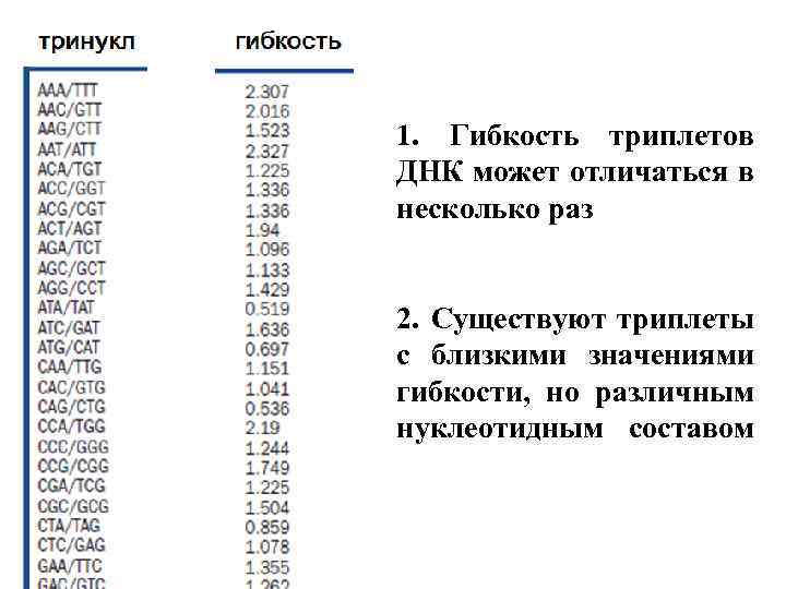 1. Гибкость триплетов ДНК может отличаться в несколько раз 2. Существуют триплеты с близкими