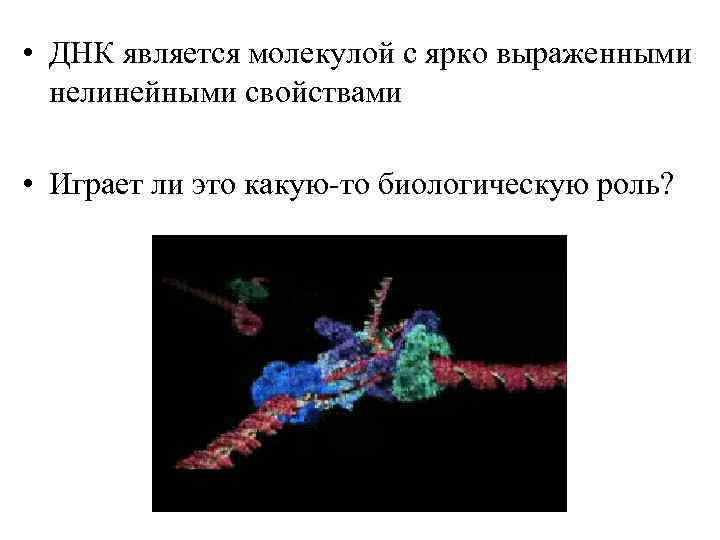  • ДНК является молекулой с ярко выраженными нелинейными свойствами • Играет ли это