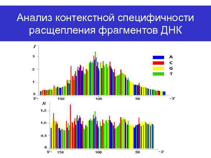 Анализ контекстной специфичности расщепления фрагментов ДНК 