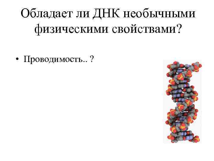 Обладает ли ДНК необычными физическими свойствами? • Проводимость. . ? 