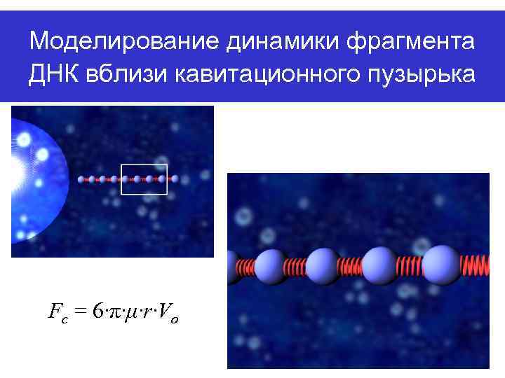 Моделирование динамики фрагмента ДНК вблизи кавитационного пузырька Fc = 6∙π∙μ∙r∙Vo 